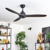 Mosstena Ventilateur de plafond lumineux Bois foncé, Noir, Télécommandes