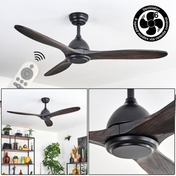Mosstena Ventilateur de plafond lumineux Bois foncé, Noir, Télécommandes
