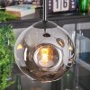 Ripoll Suspension, Boule lumineuse, Suspension grappe Fumé, 3 lumières