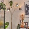 Bassagoda Lampadaire Laiton, Noir, 3 lumières