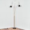 Bassagoda Lampadaire Laiton, Noir, 3 lumières