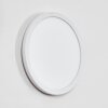 Qadir Lampe murale d´extérieur, Applique murale LED Blanc, 1 lumière