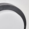 Jelad Lampe murale d´extérieur, Applique murale LED Noir, 1 lumière, Détecteur de mouvement