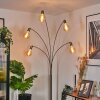Codecreo Lampadaire Nickel mat, Noir, Blanc, 5 lumières