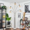 Codecreo Lampadaire Nickel mat, Noir, Blanc, 5 lumières