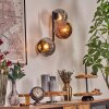 Ripoll Boule lumineuse, Applique murale Chrome, Cuivré, Fumé, 3 lumières