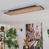 Tandragee Plafonnier LED Couleur bois, Noir, 1 lumière