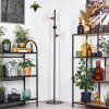 Koyoto Lampadaire 31 cm Clair, 3 lumières