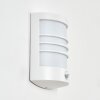 Heran Lampe murale d´extérieur, Applique murale LED Blanc, 1 lumière, Détecteur de mouvement