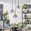 Ripoll Suspension, Boule lumineuse, Suspension grappe Clair, Fumé, 3 lumières