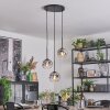 Ripoll Suspension, Boule lumineuse, Suspension grappe Clair, Fumé, 3 lumières