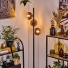 Koyoto Lampadaire 31 cm Clair, Cuivré, 3 lumières