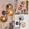 Ripoll Boule lumineuse, Applique murale Ambre, Fumé, 3 lumières
