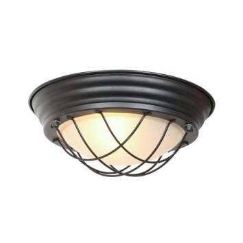 Lisanne Plafonnier Luminaires Steinhauer Noir, 1 lumière