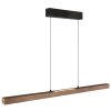 Olivus Suspension Luminaires Globo Lighting LED Noir, 1 lumière