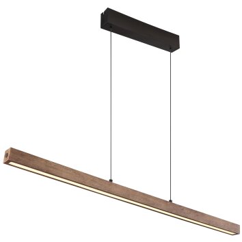 Olivus Suspension Luminaires Globo Lighting LED Noir, 1 lumière