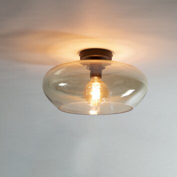 Iralo Plafonnier Anthracite, 1 lumière