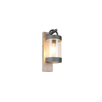Sambesi Applique murale Luminaires Trio Bois clair, 1 lumière