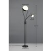 Chris Lampadaire Luminaires Trio LED Noir, 2 lumières