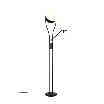 Chris Lampadaire Luminaires Trio LED Noir, 2 lumières