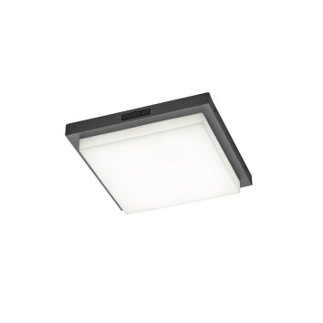 BERMEJO Plafonnier Luminaires Trio LED Anthracite, 1 lumière, Détecteur de mouvement