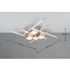 Roger Plafonnier Luminaires Trio LED Nickel mat, 1 lumière, Télécommandes