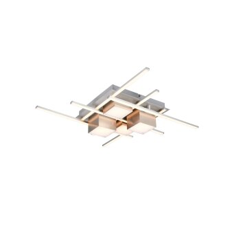Roger Plafonnier Luminaires Trio LED Nickel mat, 1 lumière, Télécommandes