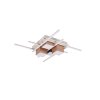 Roger Plafonnier Luminaires Trio LED Brun, 1 lumière, Télécommandes