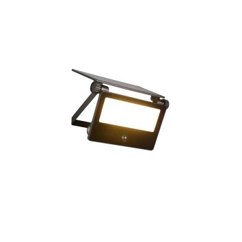 Moura Applique murale Luminaires Reality LED Noir, 1 lumière, Détecteur de mouvement
