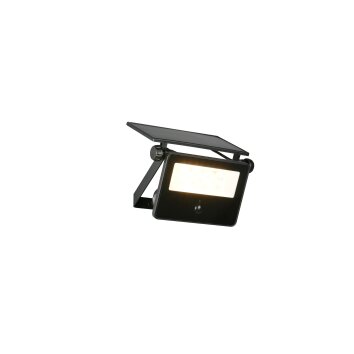 Moura Applique murale Luminaires Reality LED Noir, 1 lumière, Détecteur de mouvement