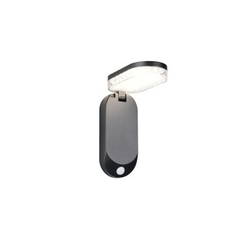 LAGOAS Applique murale Luminaires Reality LED Noir, 1 lumière, Détecteur de mouvement