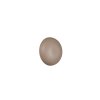 Davey Applique murale Luminaires Reality LED Beige, 1 lumière