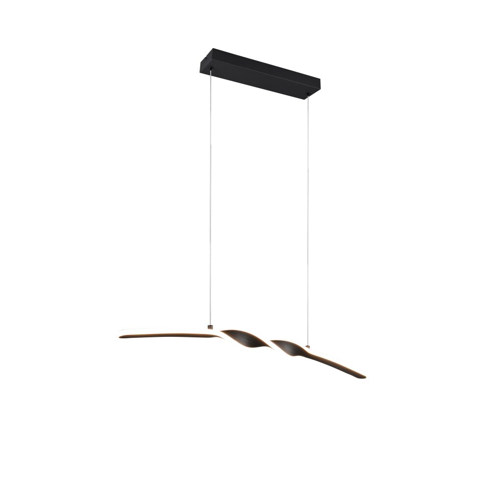 Ginko Suspension Luminaires Reality LED Noir, 1 lumière main product photo