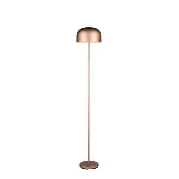 Jeff Lampadaire Luminaires Reality LED Brun, 1 lumière