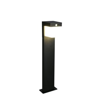 COLOMBO Lampadaire d\'extérieur Luminaires Reality LED Noir, 1 lumière, Détecteur de mouvement