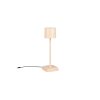 Fernandez Lampe à poser Luminaires Reality LED Beige, 1 lumière