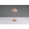 Ricardo Lampe à poser Luminaires Reality LED Brun, 1 lumière