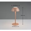 Ricardo Lampe à poser Luminaires Reality LED Brun, 1 lumière