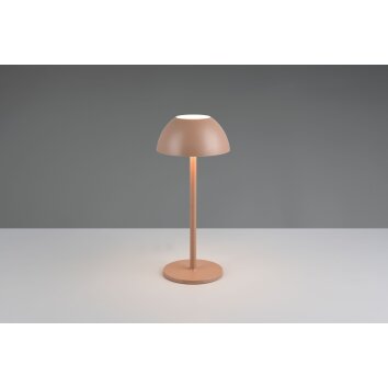 Ricardo Lampe à poser Luminaires Reality LED Brun, 1 lumière