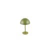Munoz Lampe à poser Luminaires Reality LED Vert, 1 lumière