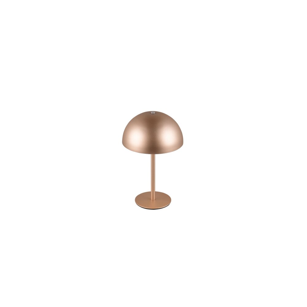 Munoz Lampe à poser Luminaires Reality LED Brun, 1 lumière main product photo