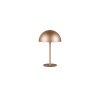 Munoz Lampe à poser Luminaires Reality LED Brun, 1 lumière