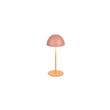 Ortiz Lampe à poser Luminaires Reality LED Orange, 1 lumière