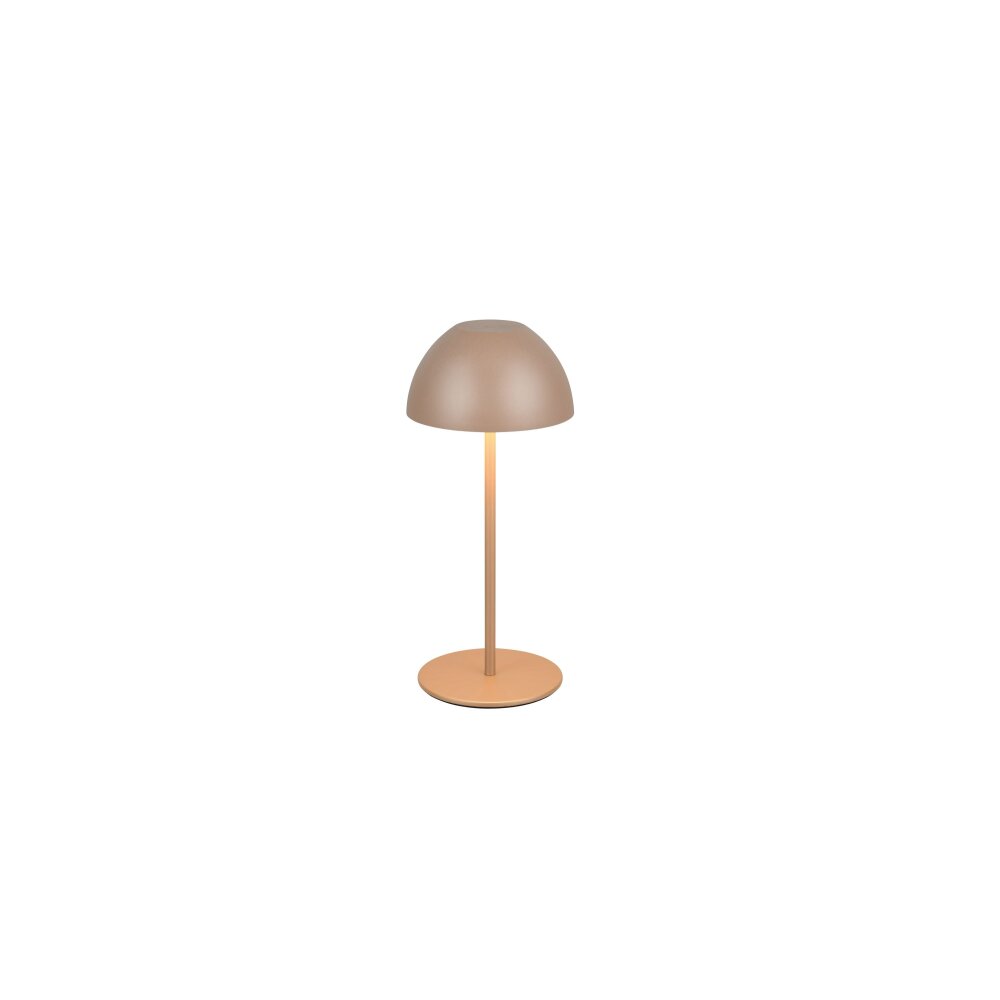 Ortiz Lampe à poser Luminaires Reality LED Brun, 1 lumière main product photo