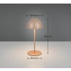 Ortiz Lampe à poser Luminaires Reality LED Brun, 1 lumière