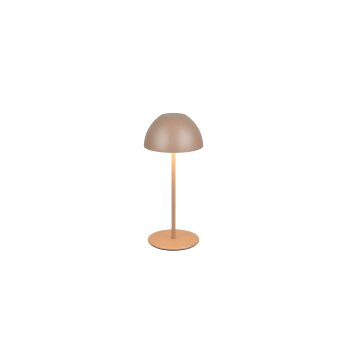 Ortiz Lampe à poser Luminaires Reality LED Brun, 1 lumière
