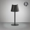 Diaz Lampe à poser Luminaires Reality LED Noir, 1 lumière