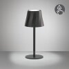 Diaz Lampe à poser Luminaires Reality LED Noir, 1 lumière