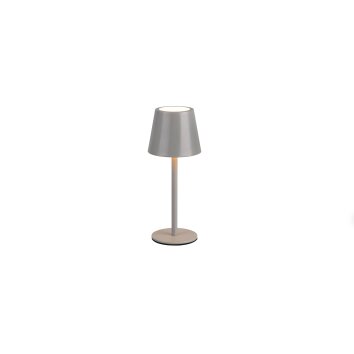 Diaz Lampe à poser Luminaires Reality LED Gris, 1 lumière
