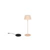 Suarez Lampe à poser Luminaires Reality LED Beige, 1 lumière